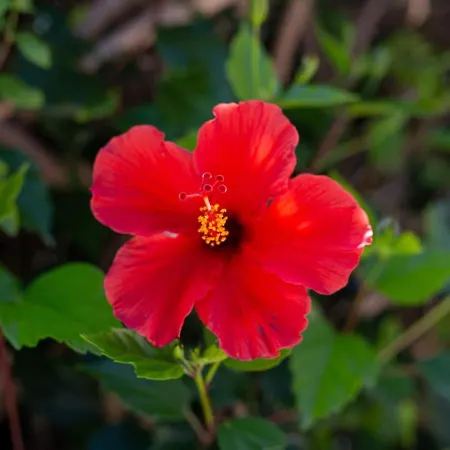 Nyaraló Katerina - Luxury 4-br Retreat With Private Pool & Bbq Area Péjia