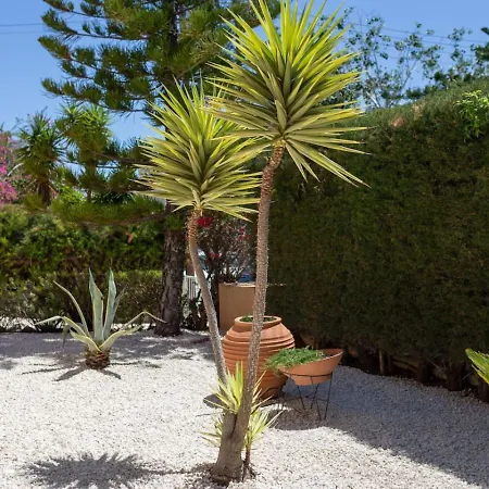 Katerina - Luxury 4-br Retreat With Private Pool & Bbq Area * Peyia